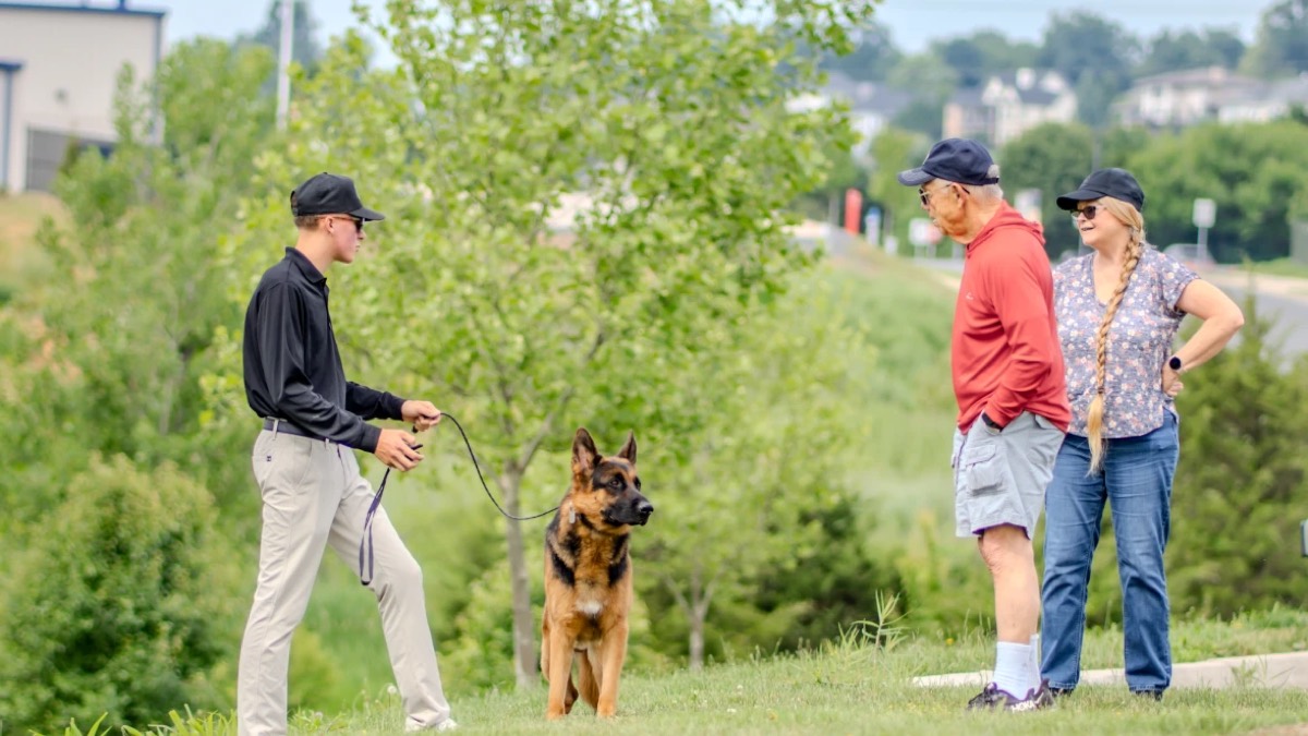 A group of Skyline K9 graduates walking together on leash