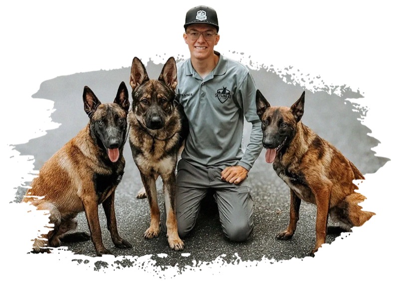 A Skyline K9 trainer with three trained shepherds